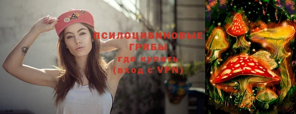 шишки Липки