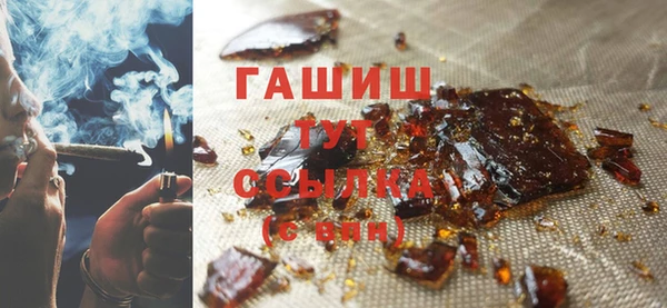 прущие грибы Елизово