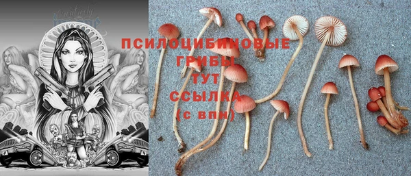 ECSTASY Лихославль