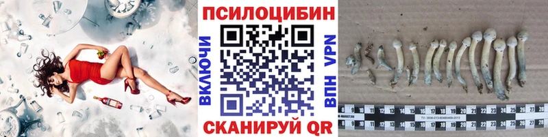 Галлюциногенные грибы Psilocybe  Ангарск 