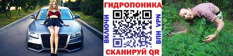 Каннабис сатива  Ангарск 